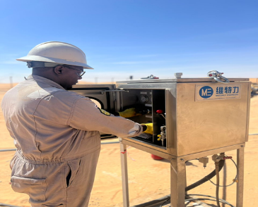 Sand Management System